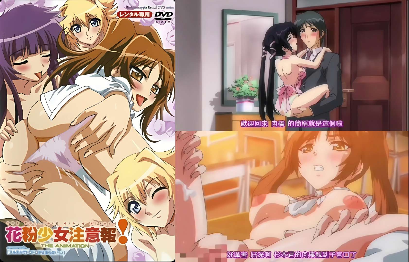 花粉少女注意报2-极品