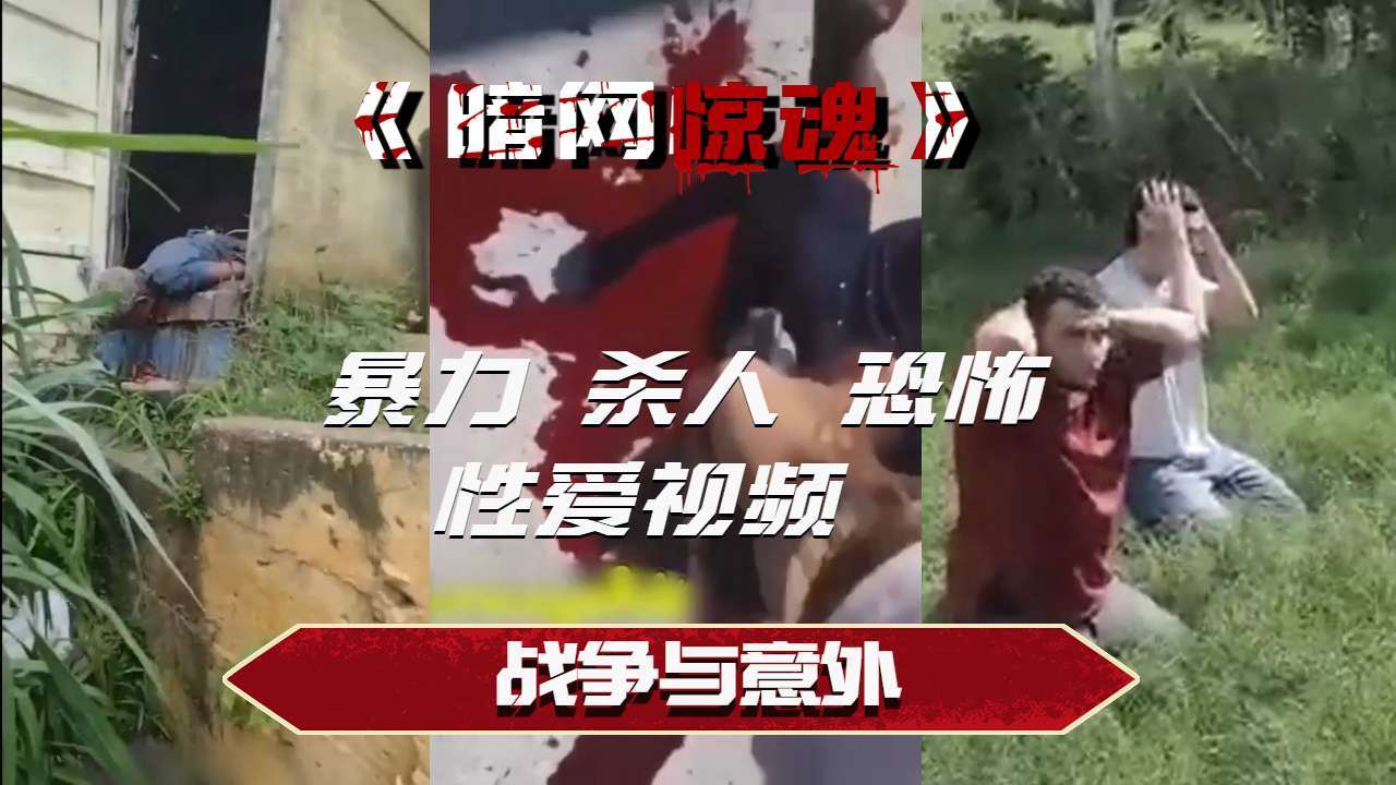 推荐战争与意外